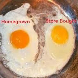 Finding Organic Inspiration: Part II Image